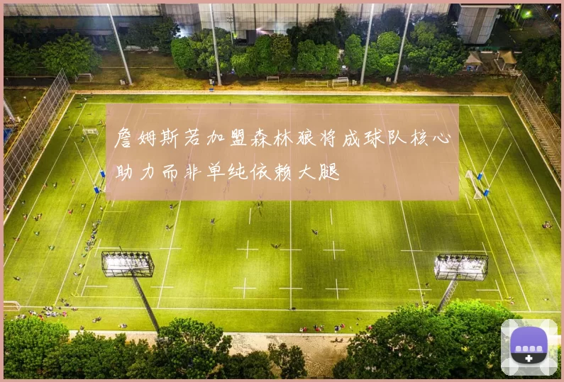詹姆斯若加盟森林狼将成球队核心助力而非单纯依赖大腿